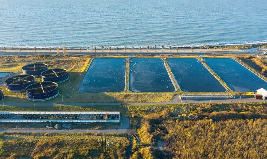 Rainwater-Harvesting-Img