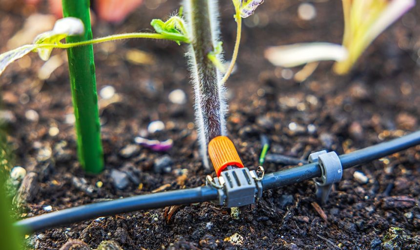 Efficient-Irrigation-Systems-Img